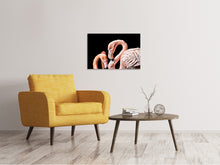 Laden Sie das Bild in den Galerie-Viewer, Leinwandbild Prächtige Flamingos