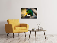 Laden Sie das Bild in den Galerie-Viewer, Leinwandbild Die Stockente