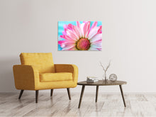 Laden Sie das Bild in den Galerie-Viewer, Leinwandbild Farbige Blume