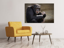 Laden Sie das Bild in den Galerie-Viewer, Leinwandbild Süsser Schimpanse