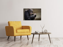 Laden Sie das Bild in den Galerie-Viewer, Leinwandbild Süsser Schimpanse