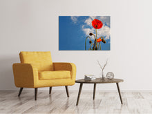 Laden Sie das Bild in den Galerie-Viewer, Leinwandbild Prächtiger Mohn