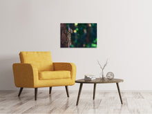 Laden Sie das Bild in den Galerie-Viewer, Leinwandbild Die Eidechse