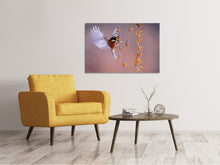Laden Sie das Bild in den Galerie-Viewer, Leinwandbild Vogel in Aktion