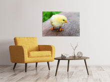 Laden Sie das Bild in den Galerie-Viewer, Leinwandbild Das Küken