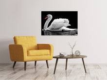 Laden Sie das Bild in den Galerie-Viewer, Leinwandbild Der anmutige Schwan