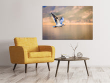 Laden Sie das Bild in den Galerie-Viewer, Leinwandbild Die fliegende Möwe