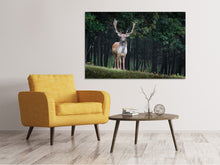 Laden Sie das Bild in den Galerie-Viewer, Leinwandbild Der Damhirsch 2