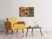 Laden Sie das Bild in den Galerie-Viewer, Leinwandbild Der Fuchs