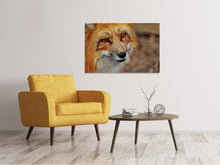 Laden Sie das Bild in den Galerie-Viewer, Leinwandbild Der Fuchs