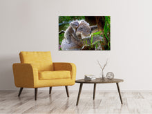 Laden Sie das Bild in den Galerie-Viewer, Leinwandbild Mama und Baby Koala