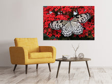 Laden Sie das Bild in den Galerie-Viewer, Leinwandbild Schmetterling in XXL
