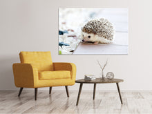 Laden Sie das Bild in den Galerie-Viewer, Leinwandbild Das Igel Baby
