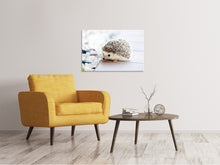 Laden Sie das Bild in den Galerie-Viewer, Leinwandbild Das Igel Baby