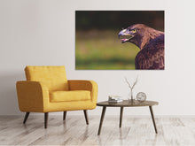 Laden Sie das Bild in den Galerie-Viewer, Leinwandbild Wachsamer Adler