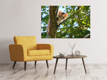Laden Sie das Bild in den Galerie-Viewer, Leinwandbild Süsses Katzen Kind