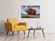Laden Sie das Bild in den Galerie-Viewer, Leinwandbild Achtung Stier!