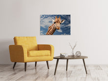 Laden Sie das Bild in den Galerie-Viewer, Leinwandbild Achtung Giraffe!