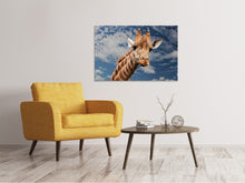 Laden Sie das Bild in den Galerie-Viewer, Leinwandbild Achtung Giraffe!
