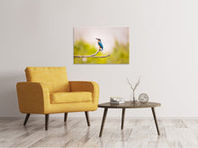 Laden Sie das Bild in den Galerie-Viewer, Leinwandbild Der Eisvogel