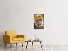 Laden Sie das Bild in den Galerie-Viewer, Leinwandbild Der Berberaffe