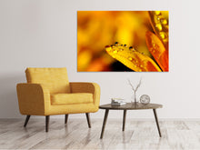 Laden Sie das Bild in den Galerie-Viewer, Leinwandbild Tropfen Close up