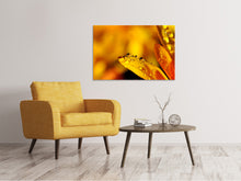 Laden Sie das Bild in den Galerie-Viewer, Leinwandbild Tropfen Close up