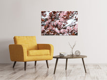 Laden Sie das Bild in den Galerie-Viewer, Leinwandbild Der Frühling ist da