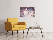 Laden Sie das Bild in den Galerie-Viewer, Leinwandbild Blüte XL