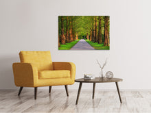 Laden Sie das Bild in den Galerie-Viewer, Leinwandbild Schöne Allee in der Natur