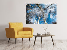 Laden Sie das Bild in den Galerie-Viewer, Leinwandbild Birkenkronen