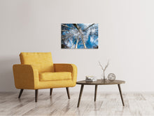 Laden Sie das Bild in den Galerie-Viewer, Leinwandbild Birkenkronen