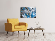 Laden Sie das Bild in den Galerie-Viewer, Leinwandbild Birkenkronen