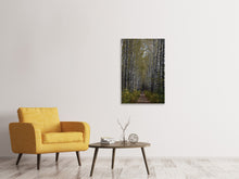 Laden Sie das Bild in den Galerie-Viewer, Leinwandbild Birken Allee