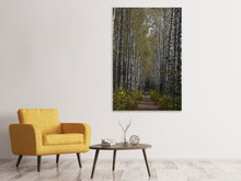 Laden Sie das Bild in den Galerie-Viewer, Leinwandbild Birken Allee