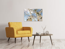 Laden Sie das Bild in den Galerie-Viewer, Leinwandbild Die 2 Birken