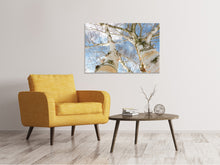 Laden Sie das Bild in den Galerie-Viewer, Leinwandbild Die 2 Birken