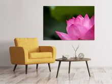 Laden Sie das Bild in den Galerie-Viewer, Leinwandbild Marko Lotus in pink