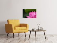Laden Sie das Bild in den Galerie-Viewer, Leinwandbild Marko Lotus in pink