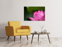Laden Sie das Bild in den Galerie-Viewer, Leinwandbild Marko Lotus in pink