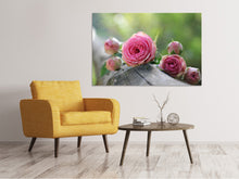 Laden Sie das Bild in den Galerie-Viewer, Leinwandbild Buschrosen