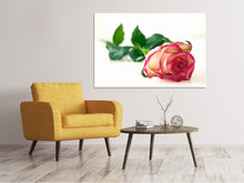 Laden Sie das Bild in den Galerie-Viewer, Leinwandbild Die stolze Rose