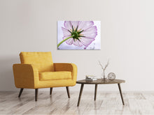 Laden Sie das Bild in den Galerie-Viewer, Leinwandbild Die Kosmos Blume
