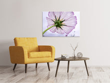 Laden Sie das Bild in den Galerie-Viewer, Leinwandbild Die Kosmos Blume