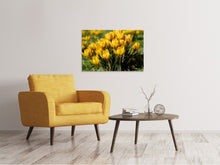 Laden Sie das Bild in den Galerie-Viewer, Leinwandbild Krokusse im Frühling