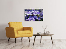 Laden Sie das Bild in den Galerie-Viewer, Leinwandbild Ein Feld voll Krokusse
