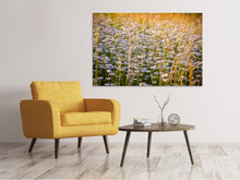 Laden Sie das Bild in den Galerie-Viewer, Leinwandbild Ein Feld voll Kamille