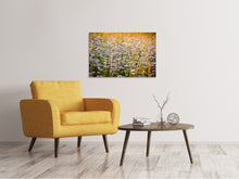 Laden Sie das Bild in den Galerie-Viewer, Leinwandbild Ein Feld voll Kamille