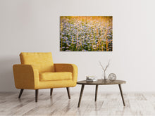 Laden Sie das Bild in den Galerie-Viewer, Leinwandbild Ein Feld voll Kamille