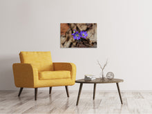 Laden Sie das Bild in den Galerie-Viewer, Leinwandbild Wildblumen